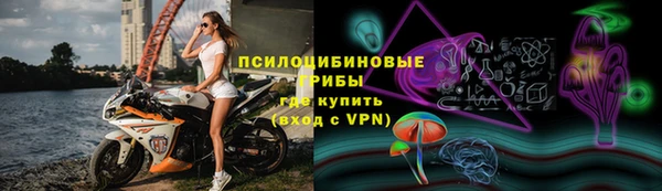 дмт Армянск
